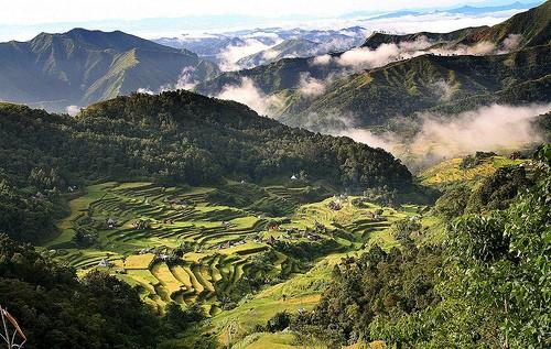 Mayoyao Rice Terraces