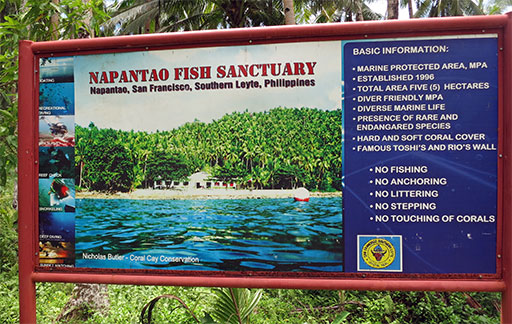 Napantao Marine Sanctuary Great For Diving Snorkeling And Many More