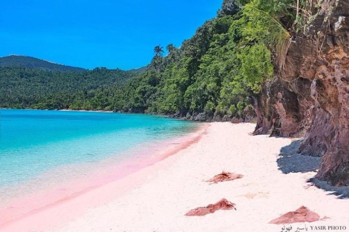 Swim In The “amazingly Pink” Pink Beach Of Northern Samar Part 2 Travel To The Philippines 0385