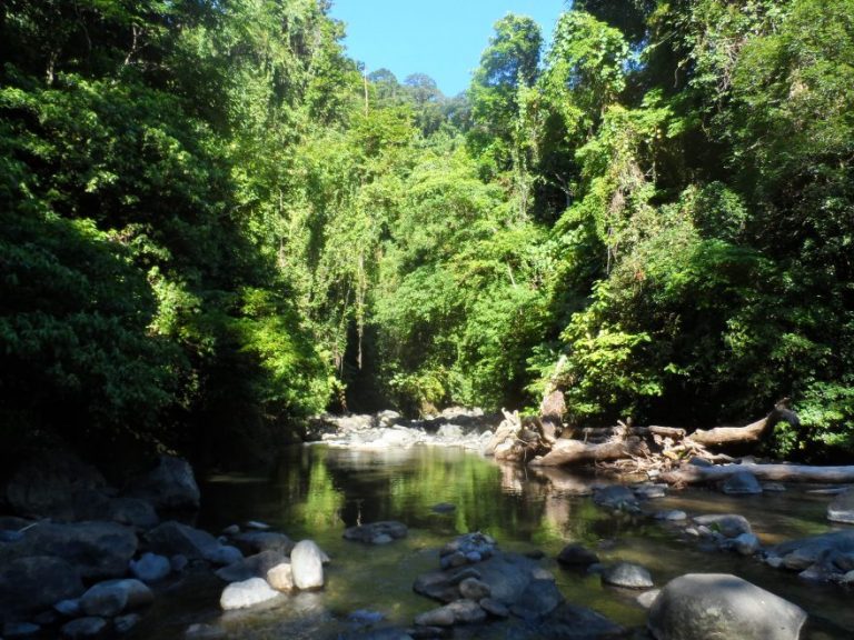 Northern Sierra Madre Natural Park In Isabela | Travel To The Philippines