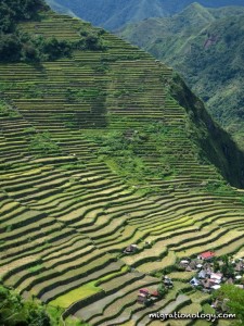 Batad Rice Terraces in Ifugao - 