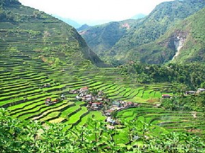 Batad Rice Terraces in Ifugao - 