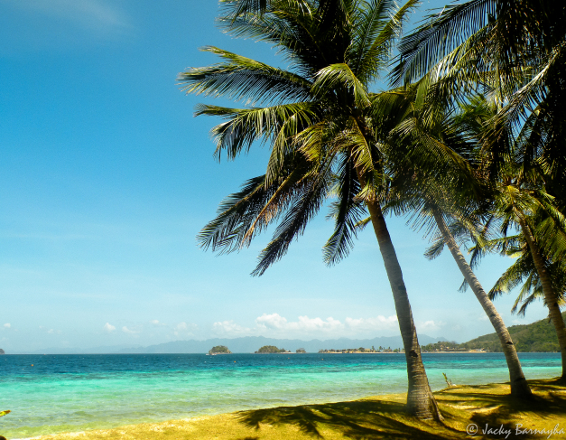 Check Out the Banana-Shaped Banana Island | Travel to the Philippines