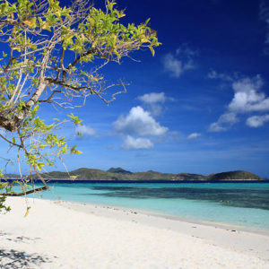 Enjoy the Beauty and Solitude at Malcapuya Island | Travel to the ...