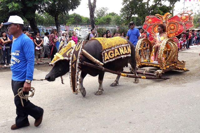 Carabao Carroza Festival in Iloilo Part 2 | Travel to the Philippines