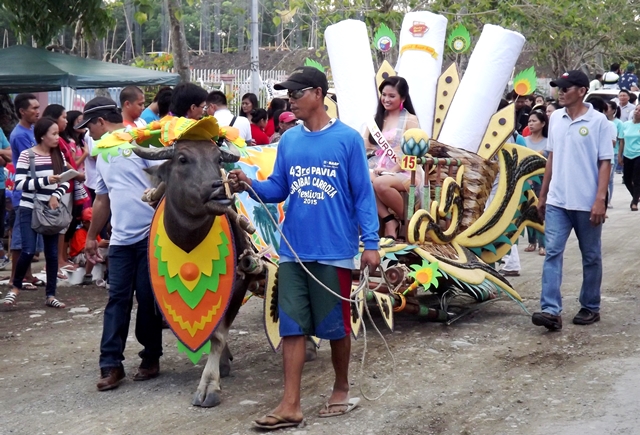 Carabao Carroza Festival in Iloilo Part 2 | Travel to the Philippines