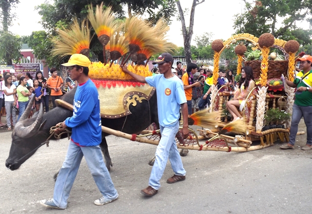 Carabao Carroza Festival in Iloilo Part 2 | Travel to the Philippines