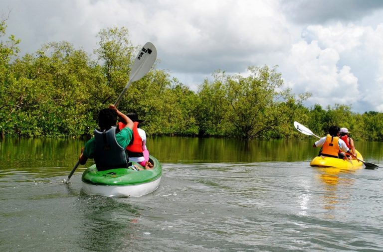 Visit The Paru-parong Bukid Nature’s Park For Simple Relaxation 