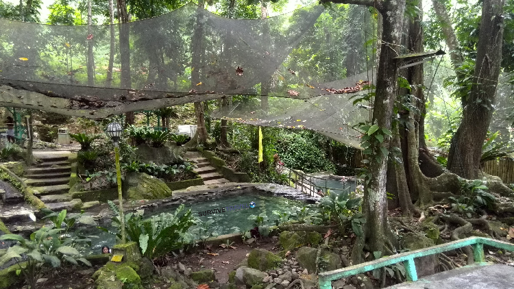 Take a Dip in the Hot Waters of Ardent Spring | Travel to the Philippines