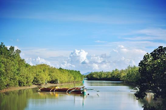 Bakhawan Eco Park Offers a Walk into Nature Part 2 | Travel to the ...