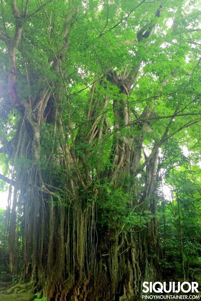 Watch the Healing Rituals at the Bandilaan Nature Park Part 2 - Travel ...