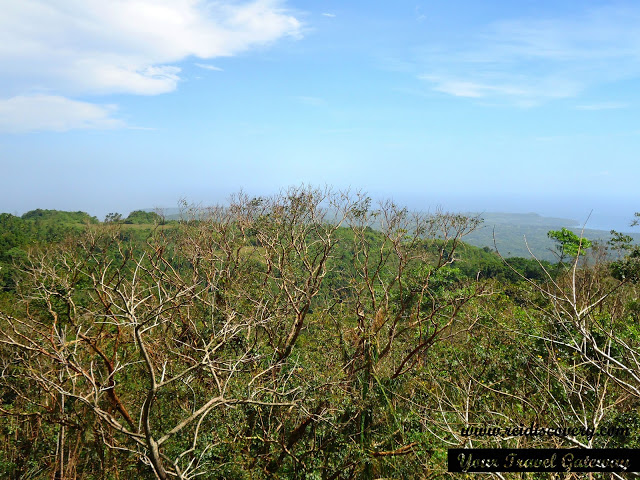 Watch the Healing Rituals at the Bandilaan Nature Park - Travel to the ...