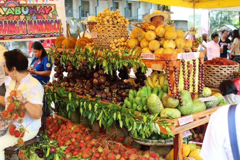 Timpupo Fruit Festival Displays Bountiful Fruit Harvest Part 1 | Travel to the Philippines